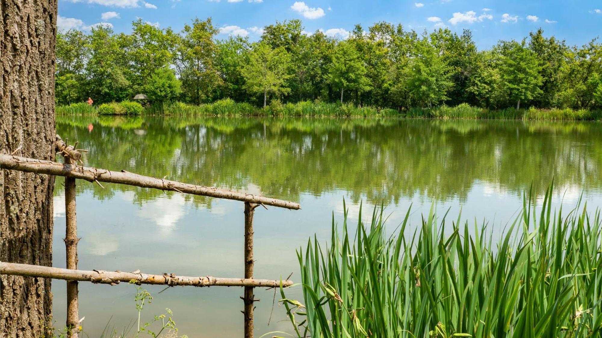 Camping Aubigny-Les Clouzeaux Aubigny  Esterno foto